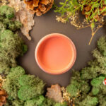 cottage door 3 .jpg t 1686840075 gl 1 6fo4m4 ga MTQxNTYwOTg5OS4xNjc2NDg3MzAy ga WS2VZYPC6G MTY4N 01118