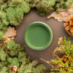 english ivy 4 1 1.jpg t 1686840076 gl 1 1rc6nkp ga MTQxNTYwOTg5OS4xNjc2NDg3MzAy ga WS2VZYPC6G MTY4Nj 53784 1