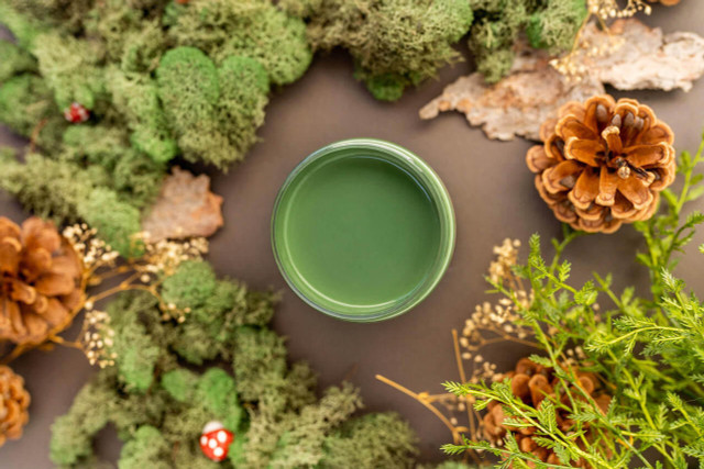 Dixie Belle křídová minerální barva - English Ivy