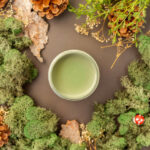 weeping willow 4 .jpg t 1686840073 gl 1 1kuannp ga MTQxNTYwOTg5OS4xNjc2NDg3MzAy ga WS 65922