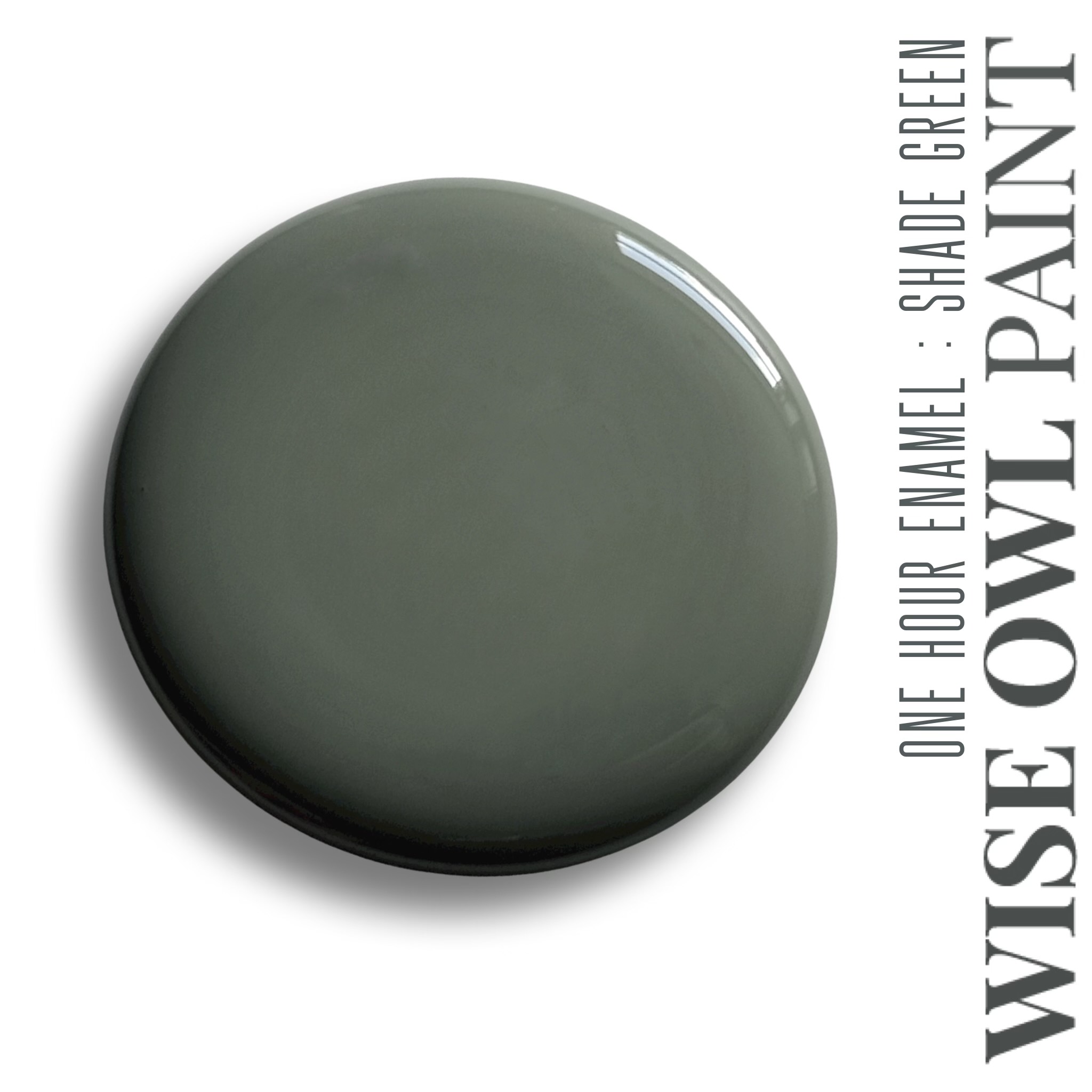 SHADE GREEN One Hour Enamel - Wise Owl Paint - barvy pro kuchyně, dveře, obložení