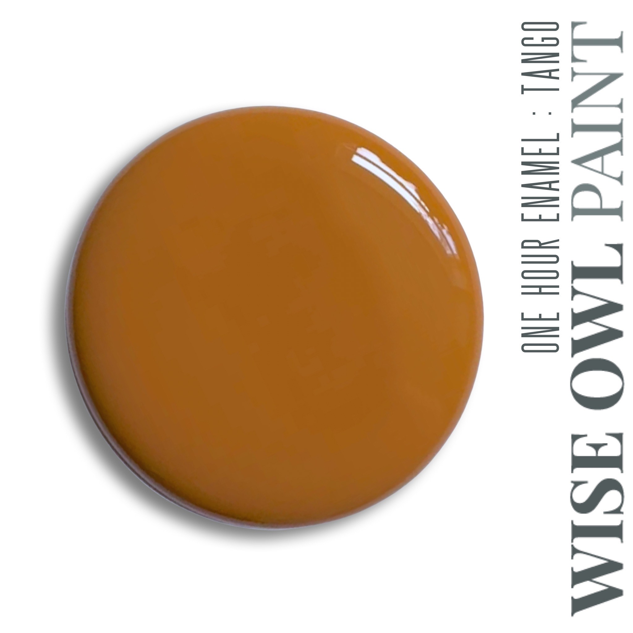 TANGO One Hour Enamel - Wise Owl Paint - barvy pro kuchyně, dveře, obložení - Obrázek 3
