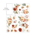 AutumnMorningMidTransfer