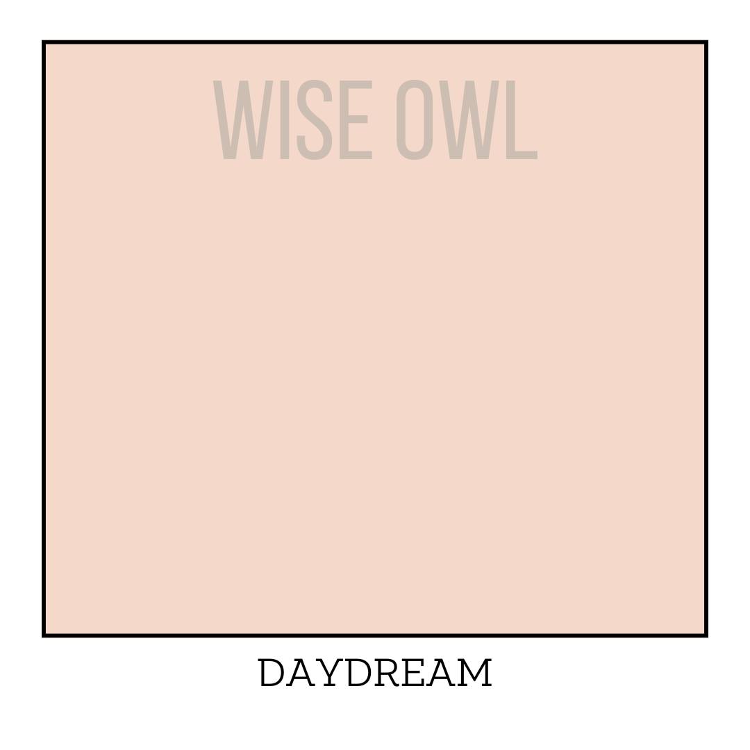 DAYDREAM One Hour Enamel - Wise Owl Paint - barvy pro kuchyně, dveře, obložení