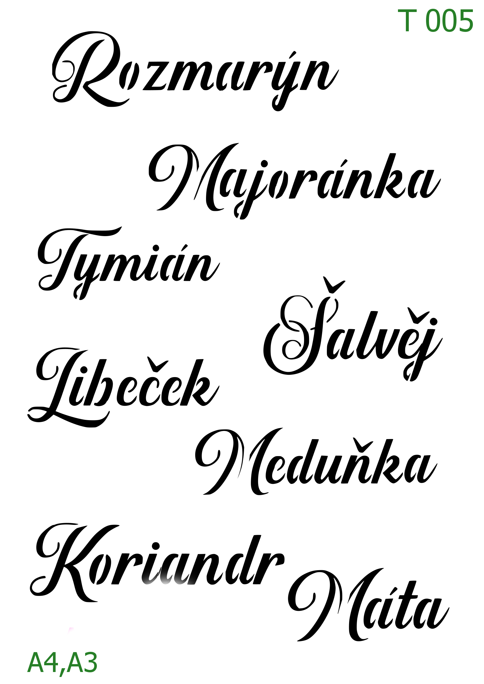 Plastová šablona pro malování - České nápisy - Svislý seznam názvů bylinek (T005)