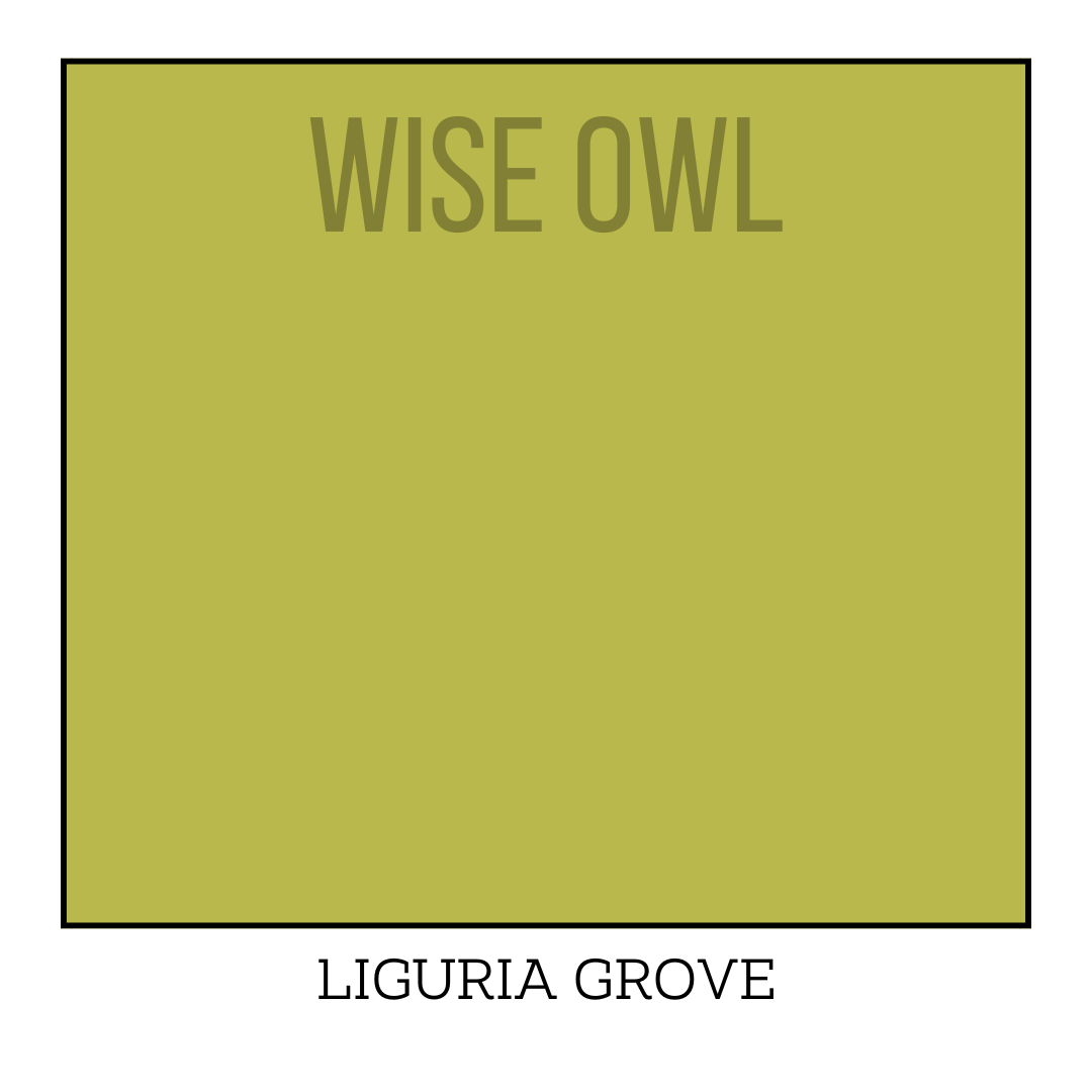 LIGURIA GROVE One Hour Enamel - Wise Owl Paint - barvy pro kuchyně, dveře, obložení