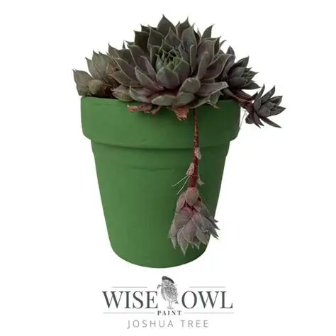 Chalk Paint - křídová barva Wise Owl Paint - Joshua Tree - Obrázek 2