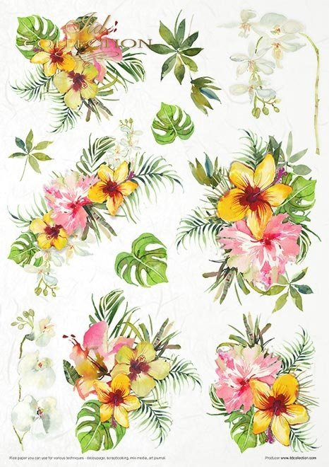 Rýžový papír 11 ks A4 - Tropical dreams - RP006 - Obrázek 4