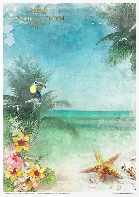 Rýžový papír 11 ks A4 - Tropical dreams - RP006 - Obrázek 9