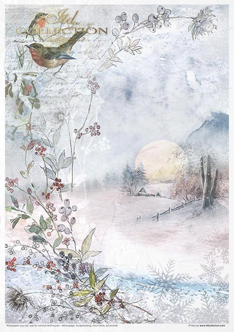 Rýžový papír 11 ks A4 - Decorated with Frost - RP034 - Obrázek 11