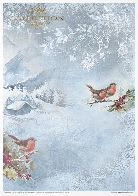 Rýžový papír 11 ks A4 - Decorated with Frost - RP034 - Obrázek 8