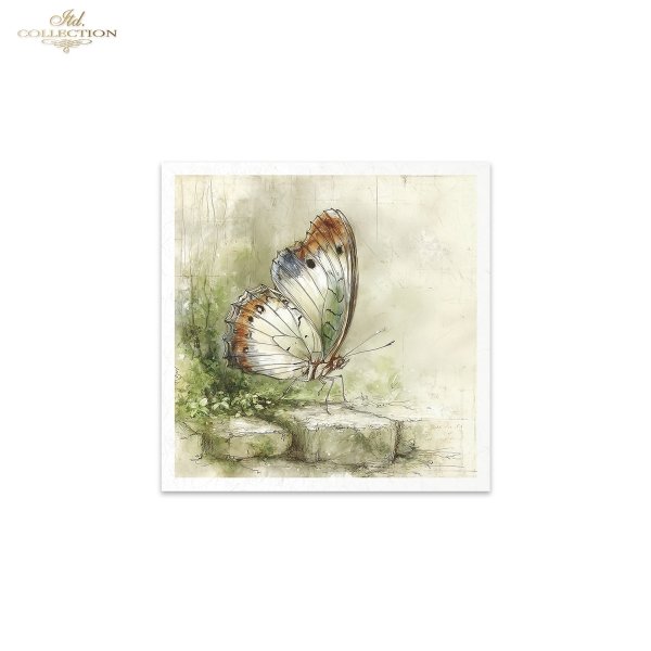 Rýžový papír 15x15 cm - Hmyz 6 ks mini set - RSM223 - Obrázek 4