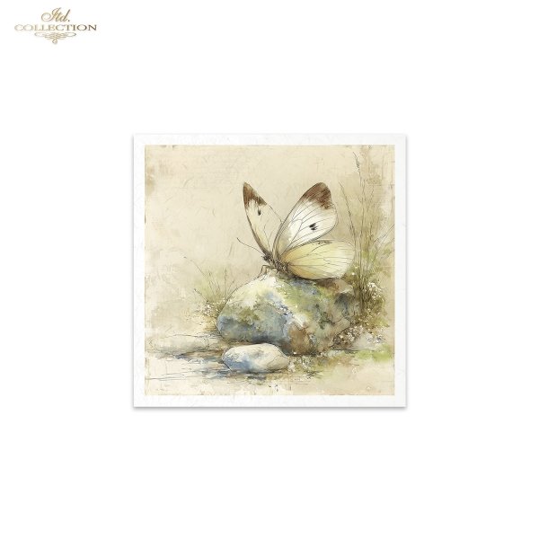 Rýžový papír 15x15 cm - Hmyz 6 ks mini set - RSM223 - Obrázek 3